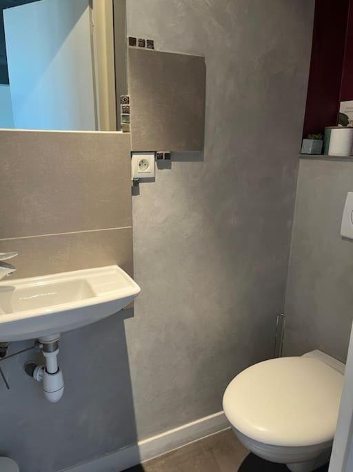 T2 Centre Ville Avec Vue Imprenable Chambéry Kültér fotó